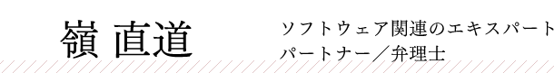 嶺　直道：ソフトウェア関連のエキスパート　パートナー/弁理士